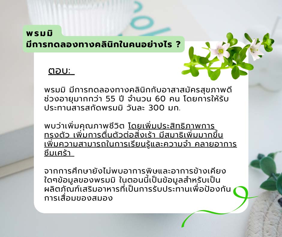 สมุนไพรพรมมิ